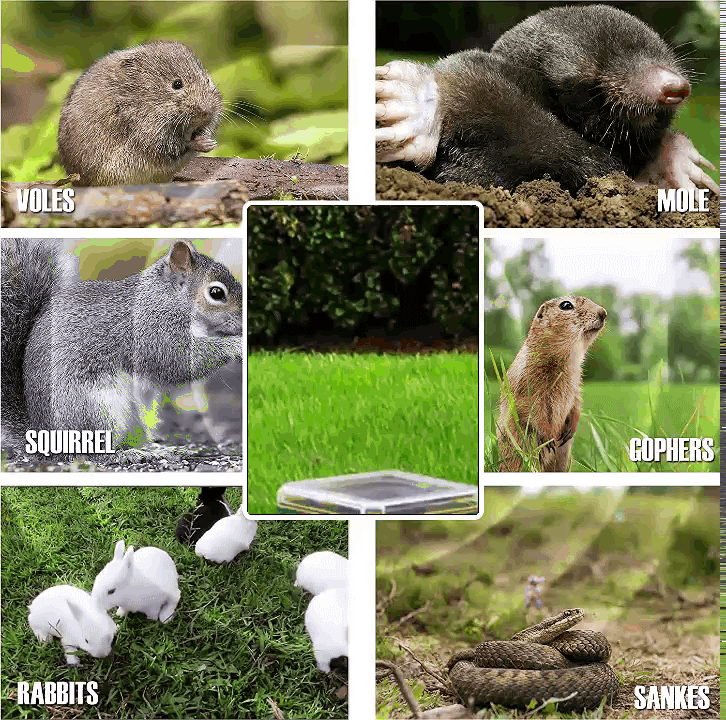 🔥LAST DAY 60% OFF🔥 Solar Power Mouse Mole Snakes Pest Rodent Repeller