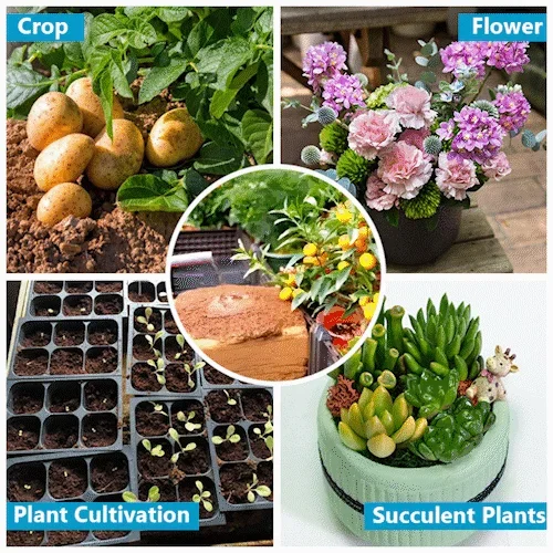 Mother's Day -BUY 3 GTE 2 FREE💗Organic Coconut Coir for Plants